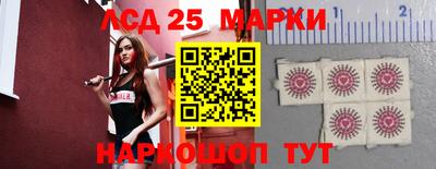индика Партизанск