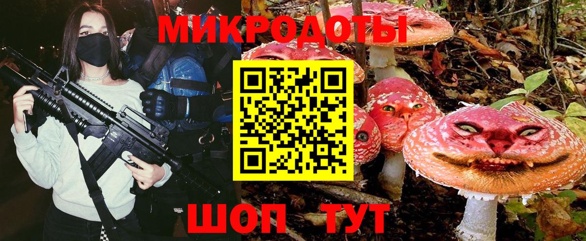 Псилоцибиновые грибы Psilocybe Тайшет