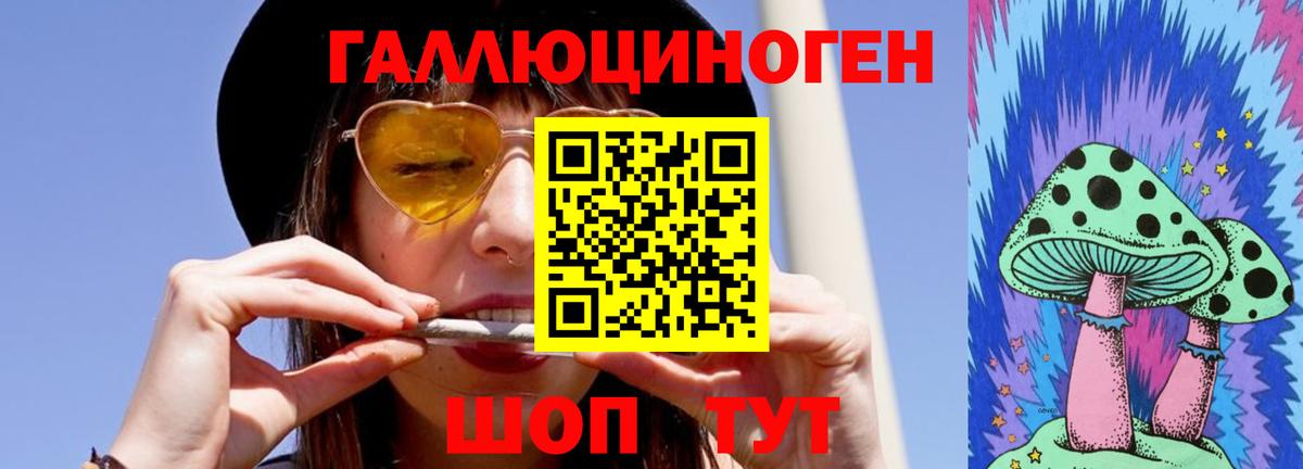 купить   Вход с VPN  Тайшет  Галлюциногенные грибы Psilocybe 